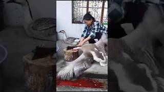 Raja Duck Killing By Girl