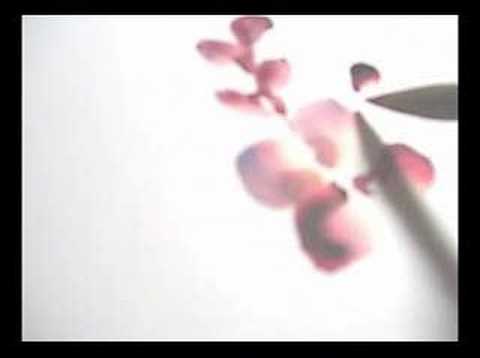 How to paint  orchids