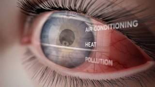 A Journey Through the Human Eye: How We See