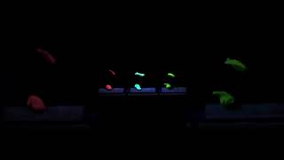 Colorful Content By Triocolores Always Great Fun To Play Musique De Table By Thierry De Mey