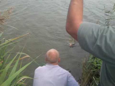 видео карп утащил удочку видео карп утащил удочку