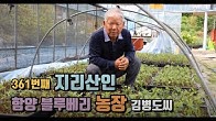  함양블루베리농장 김병도씨