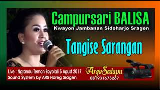 Download lagu Via Vallen Selow