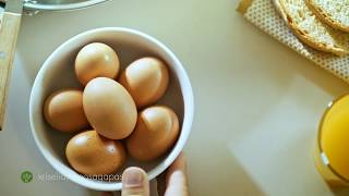 Chryselia TVC - Morning