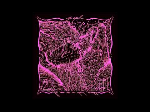 Paper Tigon Video