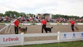 OVSARDA Agility Demo, 2014. Version 1.