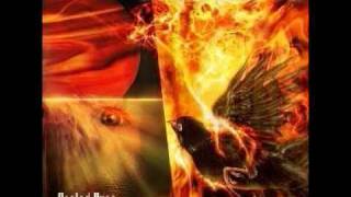 Watch Thessera Partys On video