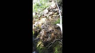 Alanya Dim Alacami Köyü Şelâle Yürüyüş