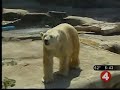 Ferocious Friday at Buffalo Zoo