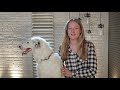 Sara and Hero Revisit Their Paws-itively Amazing Tricks - America's Got Talent: The Champions