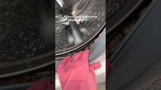 Rescue Mission Washing Machine Deep Clean