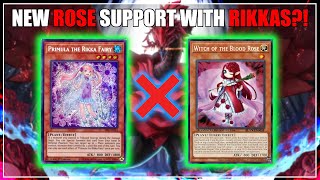 Yugioh Blood Rose Witch X Rikkas Combos Extreme Potential