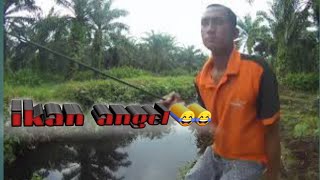 Pamer Spot Mancing