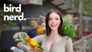 Inside A Parrot Lovers Dream Day