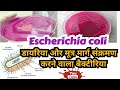 Escherichia coli, pathogenesis, clinical manifestations and lab diagnosis in hindi