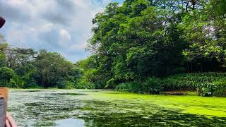 Ngare Sero Mountain Lodge Leganga Road Arumeru Arusha Usa River Tanzania Safaris Travels Doentary