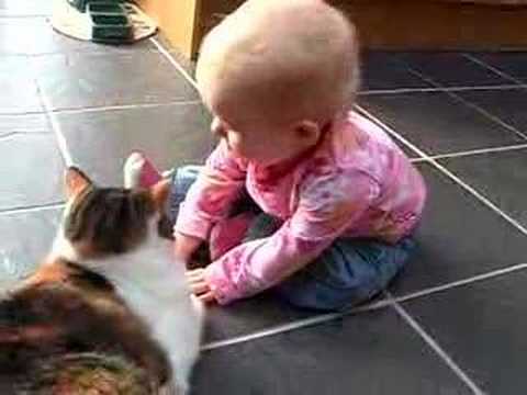 Baby 'playing' with cat.