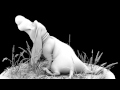 Doggy Dog Turnaround