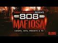Sonic Mechanics - 808 Mafiosa