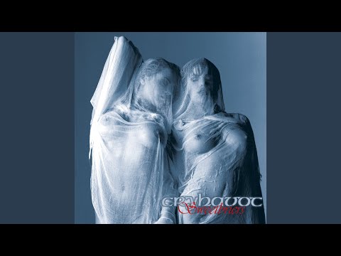 I Fade Away Video