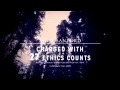The Best Congressional Campaign Ads of 2013