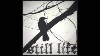 Watch Still Life Useless video