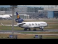 heavies