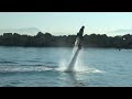 water jetpack
