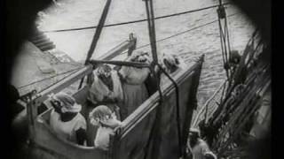 Steamship Of The Brides Steamship Of The Brides
