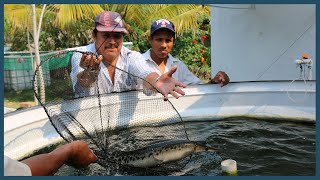Prototipo sustentable de cultivo de peces nativos para el autoconsumo Ribera Baja de San Francisco