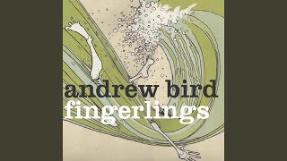Watch Andrew Bird Trimmed  Burning video