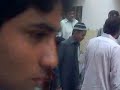 image Danger Cow Qurbani My Sweet Home Han Cow 27 Oct