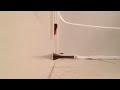Cute french bulldog puppy - youtube