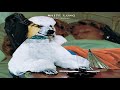 Down It Goes Video preview