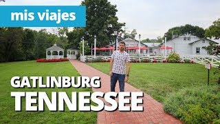 ¡Me encuentro con un oso en Tennessee! | GATLINBURG