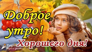 ☕️🍬 Доброе Утро! Нагадай Нам, Осень, Солнышка В Судьбе! Утренний Позитив Для Друзей!