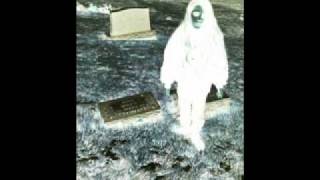 Crystal Castles Ll Birds Reversed