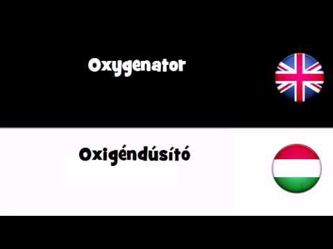 Header of oxygenator