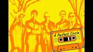 Episode 12 - A Perfect Circle Dans Lunivers De Maynard James Keenan Part 1