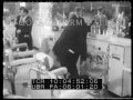 Albert Anastasia Slain - 221178-02 | Footage Farm