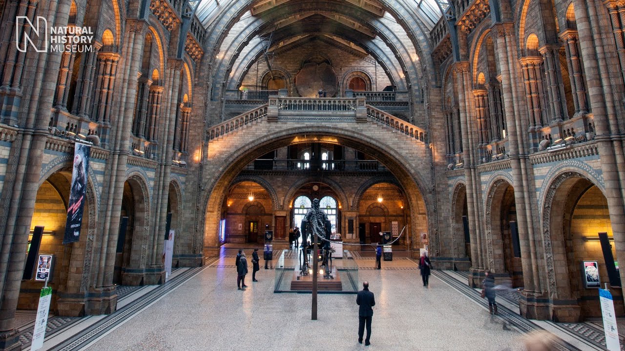 A day at the Museum | Natural History Museum - YouTube