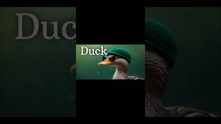 Duck Edit Edit