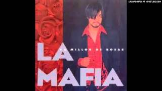 Watch La Mafia Amame video