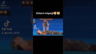 Onların Köpeği Mi ? Bizim Köpeğimiz Mi ?
