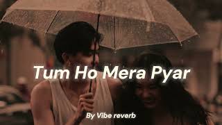 Tum Ho Mera Pyar Slowed Reverb by Vibe Reverb