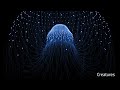 nodes