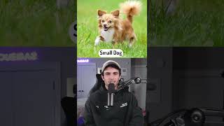 Could You Beat These Animals In A Fight?