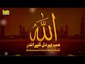 Allah Mere Dil Ke Ander | Muhammad Sohail Raza Qadri | Eagle Stereo | HD Video