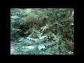 El Regreso A La Cascada La Sirena Y Evidencia De images El Regreso A La Cascada La Sirena Y Evidencia De