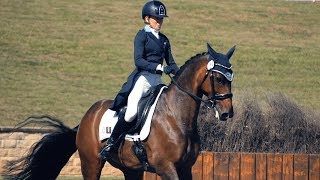 EVENT VIDEO - Dressage | Sport Horse Films
